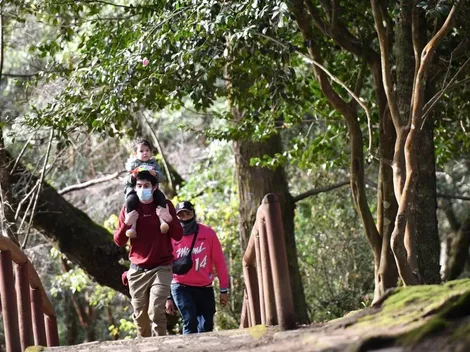 ¿Cuándo pagan el Subsidio Protege 2021?