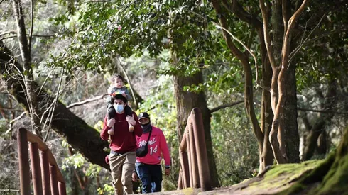 ¿Cuándo pagan el Subsidio Protege?
