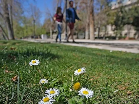 ¿Qué día y a qué hora comienza la primavera en Chile?