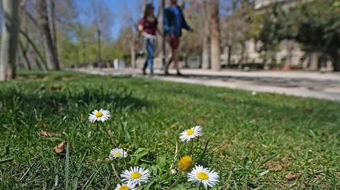 El cambio de estación se realiza este miércoles 22 de septiembre en Chile.