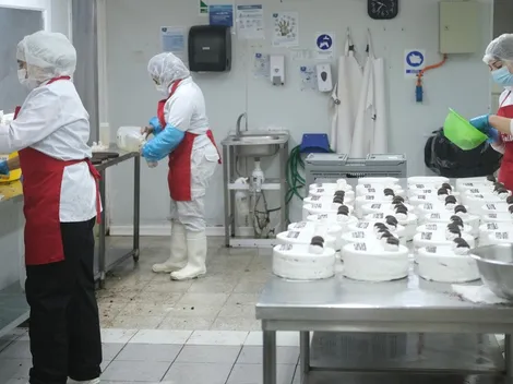 ¿Cómo postular al IFE Laboral y cuándo se paga?