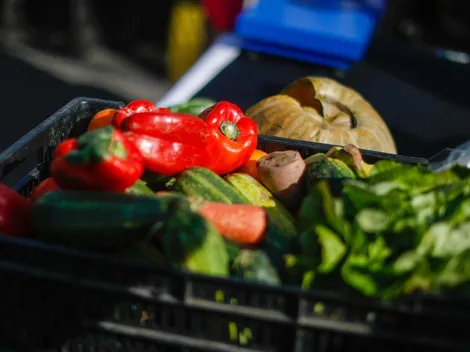 Fiestas Patrias | ¿Cómo preparar un asado vegano?