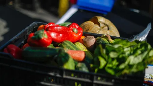 Conoce el detalle de la preparación para veganos o vegetarianos.