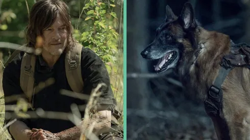 Daryl y Perro corren peligro en el próximo adelanto de The Walking Dead.
