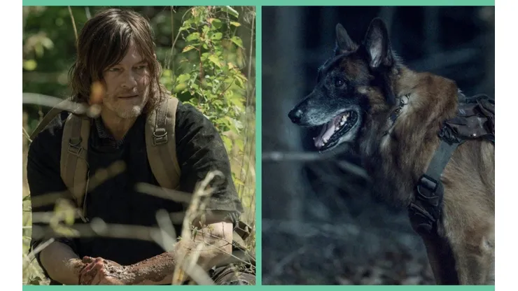 Daryl y Perro corren peligro en el próximo adelanto de The Walking Dead.