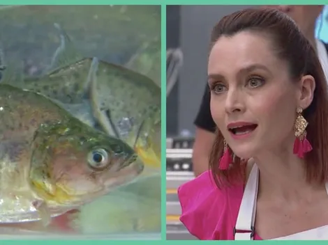 Pirañas angustiaron a participantes de Masterchef