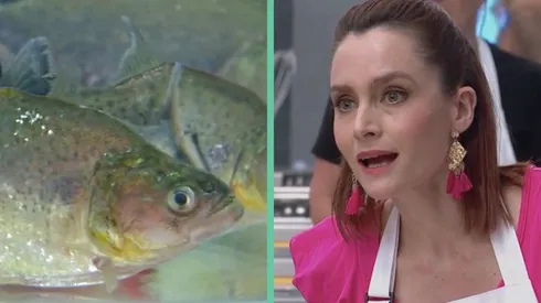 Las pirañas causaron estragos en Masterchef Celebrity.