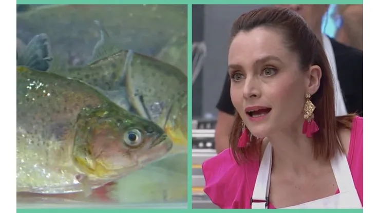 Las pirañas causaron estragos en Masterchef Celebrity.