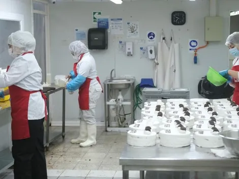 ¿Cuáles son los requisitos del IFE Laboral y la fecha de pago del beneficio?