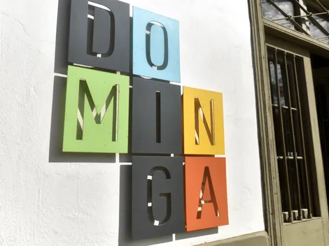 ¿Cuál es la historia de la minera Dominga?