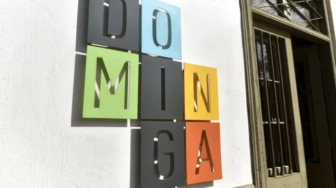 ¿Cuál es la historia de la minera Dominga?