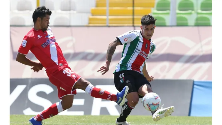 Palestino ha ganado sus últimos tres partidos como local en el Campeonato Nacional.