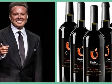 Viña Ventisquero deja de producir el vino de Luis Miguel