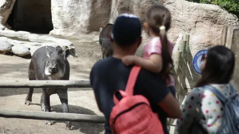 Zoológico abrirá sus puertas este domingo. (Agencia Uno).