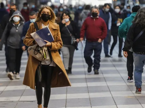 ¿En qué consiste el proyecto del Ingreso Laboral de Emergencia?