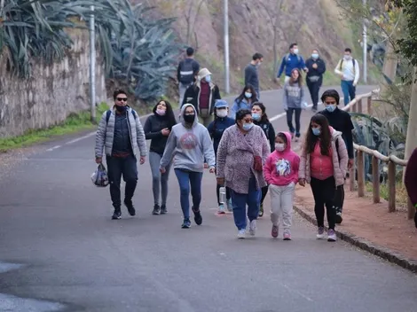 ¿Dónde y cómo descargar el Pase de Movilidad?