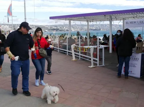 ¿Cuándo comienzan los cambios de Plan Paso a Paso?