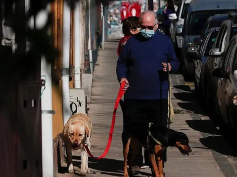 ¿Cuándo comienza a regir el Nuevo Plan Paso a Paso?