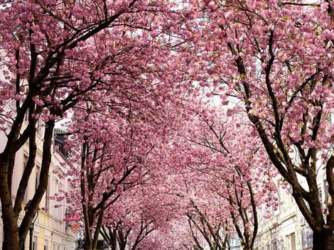 Horóscopo de hoy miércoles 7 de julio