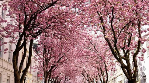 Conoce que te depara hoy tu signo zodiacal.