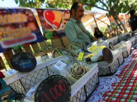 ¿Dónde postular al Bono Pymes?