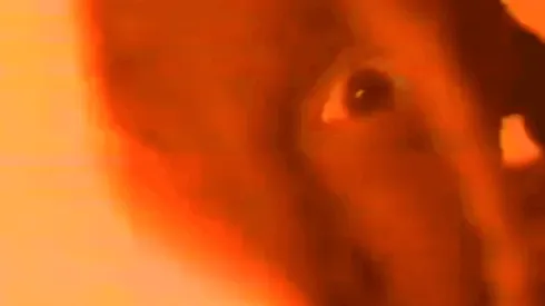 El video es del año 1994.