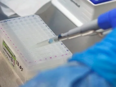 ¿De qué se trata la variante delta que llegó a Chile?