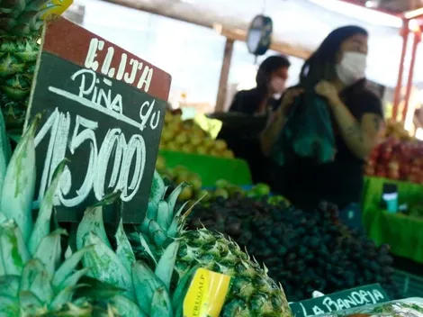 Cómo postular y en qué consiste el Bono para Pymes y ferias libres