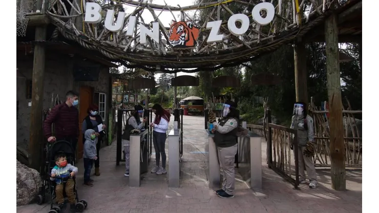 ¿Cómo apadrinar un animal del Buin Zoo?