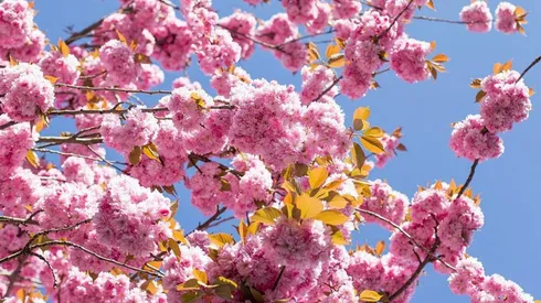 Conoce que te depara el horóscopo hoy