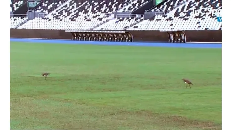 La cancha del estadio de Botafogo no luce en las mejores condiciones a cuatro días del choque entre Argentina y Chile por el Grupo B de la Copa América