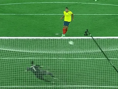 ¡Muriel lo celebra con Rueda! Colombia descuenta