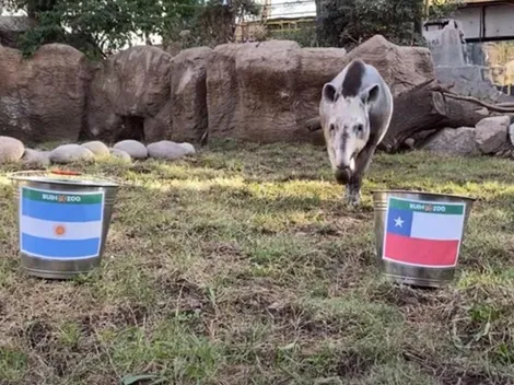 La audaz predicción del Tapir Manolo para la Roja