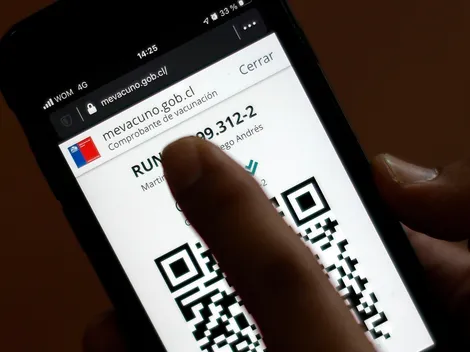 ¿En qué consiste el carnet verde y cómo se puede descargar?