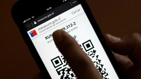 ¿En qué consiste el carnet verde y cómo se puede descargar?