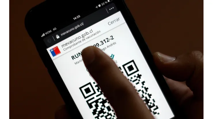 ¿En qué consiste el carnet verde y cómo se puede descargar?