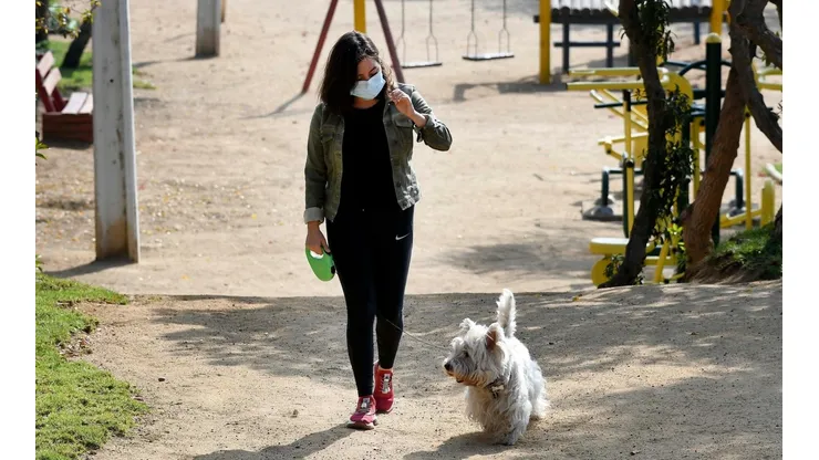 ¿El Pase de Movilidad sirve para pasear mascotas?