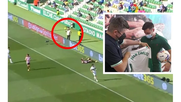 Elche se salvó del descenso en la última fecha
