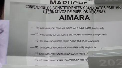 ¿Quiénes pueden votar por candidatos de pueblos originarios?