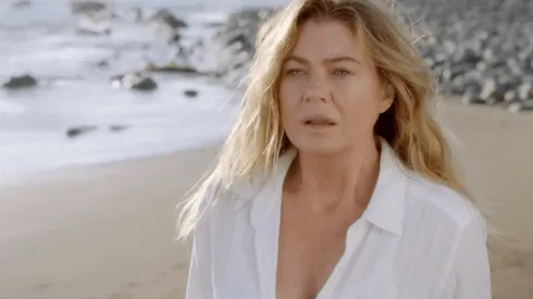 Meredith Grey es de los pocos personajes que han tenido presencia durante todas las temporadas de Grey's Anatomy.