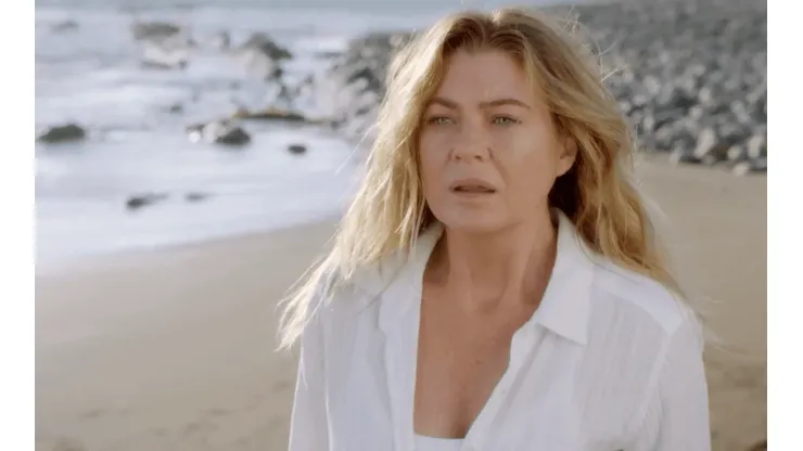 Meredith Grey es de los pocos personajes que han tenido presencia durante todas las temporadas de Grey's Anatomy.