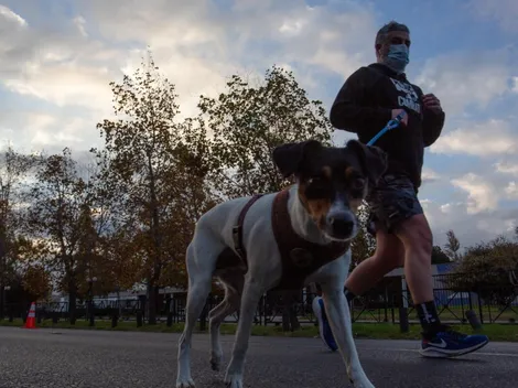 ¿Cuál es el horario para hacer deporte sin permiso?