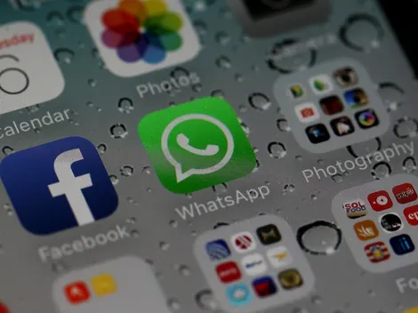 ¿Voy a perder mi cuenta si no acepto las condiciones de WhatsApp