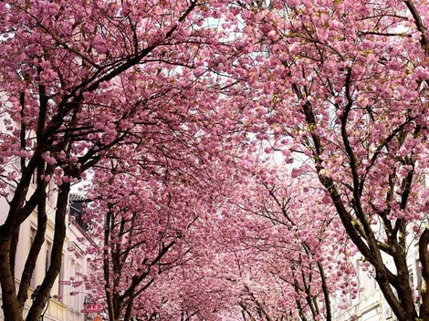 Horóscopo de hoy domingo 25 de abril