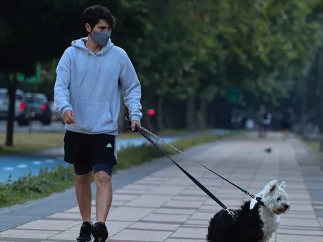 Urgencias veterinarias no necesitan permiso en toque de queda o cuarentena