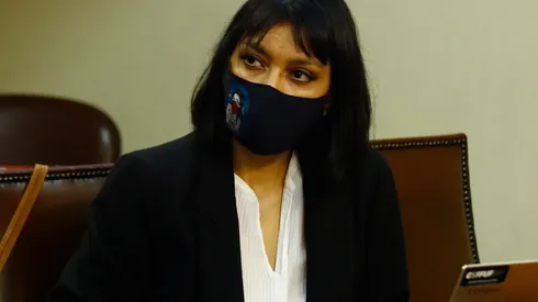 Diputada Natalia Castillo