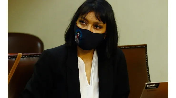 Diputada Natalia Castillo