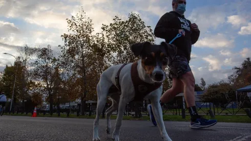 Franja Horaria Elige Vivir Sano