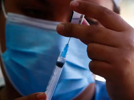 Veterinario usó vacunas para perros en Calama para prevenir el Covid-19