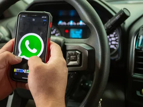 ¿Cómo desactivar las notificaciones de los grupos de WhatsApp?